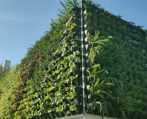 Vertical Garden Maintenance Contractors